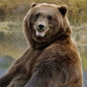 Meet your Posher, Noelle